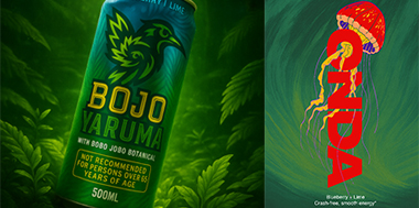 Expert Eyes, Machine Hands project