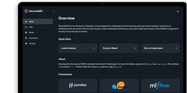 NeuroGeMS User interface